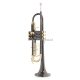 Roy Benson TR-101K Bb trombita, fekete