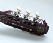 GMC-851X Klasszikus gitár 4/4, több színben