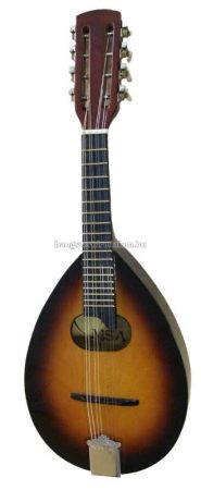 MSA MA3 mandolin, ajándék szivacsos tok