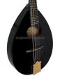 MSA MA6 mandolin, ajándék tokkal