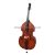 P806 - Virtuoso Pro tömör lucfenyő fedlapos kézműves 3/4-es nagybőgő